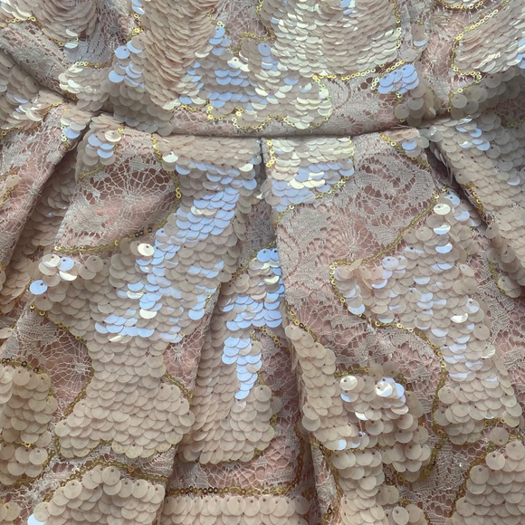 Blush and Gold Sequined Anthropologie Dress - Picture 2 of 4
